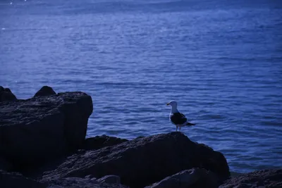 DSC_0870 (Large).JPG